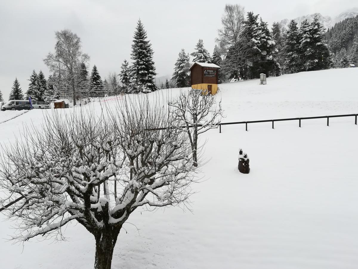 Romantic Chalet-Style Flat With Mountain View Torgon 외부 사진